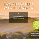 Faszination Westerwald Camping im Eichenwald